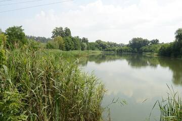 Фото номера Дом с 2 спальнями Загородные дома Perlyna Dzvinkova г. Dzvinkove 9